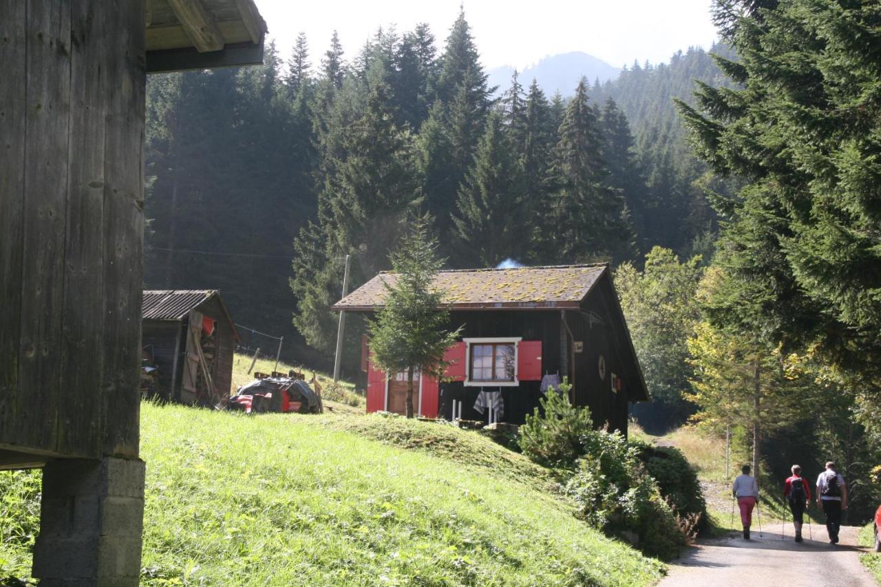 Heerlijke Wandel Of Ski Vakantie In Torgon Portes Du Soleil Экстерьер фото
