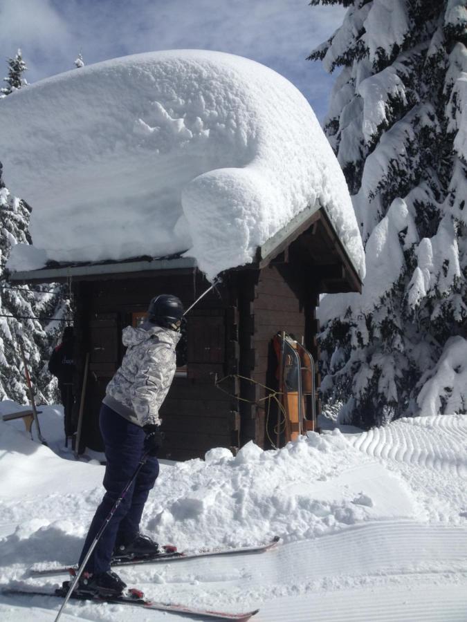 Heerlijke Wandel Of Ski Vakantie In Torgon Portes Du Soleil Экстерьер фото